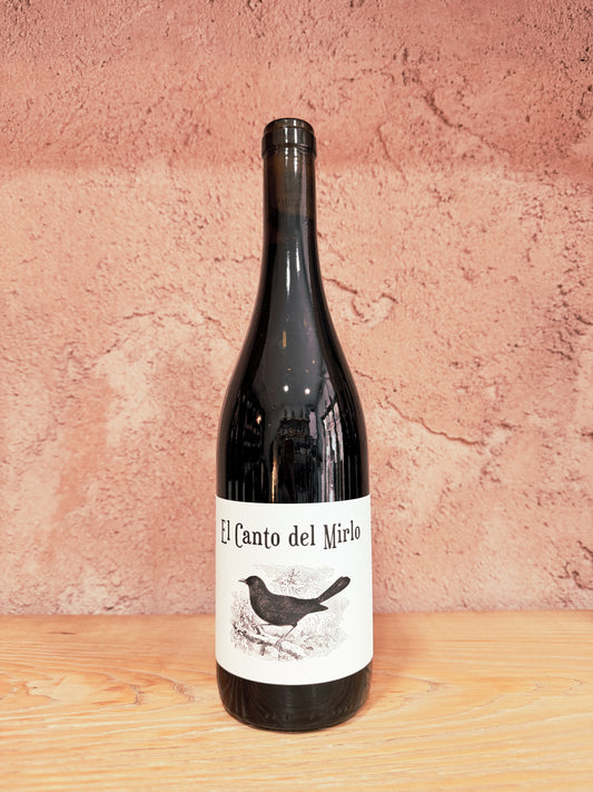 El Canto del Mirlo 2019 - Barranco Oscuro