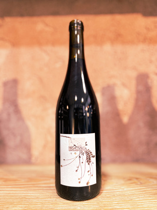 Ca L’Estanquer ‘24