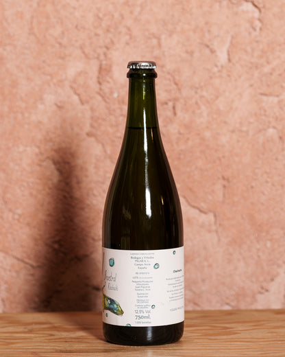 Cha Cha Cha Ancestral