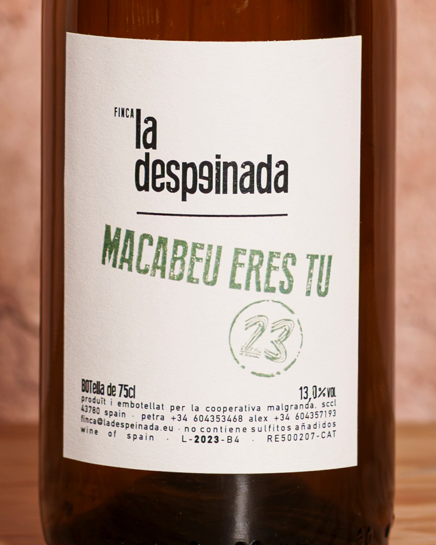 Macabeu eres tu 23