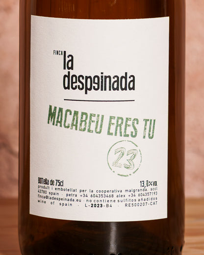 Macabeu eres tu 23